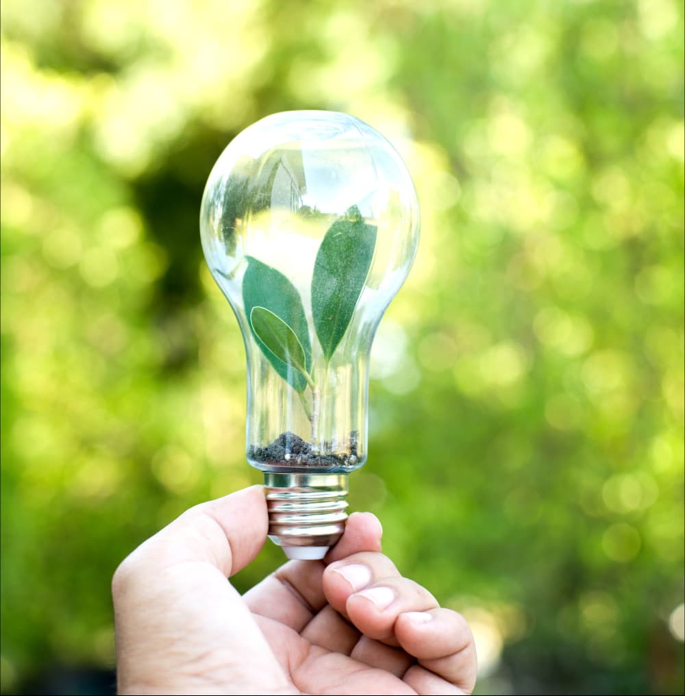 Ahorre energía inteligentemente